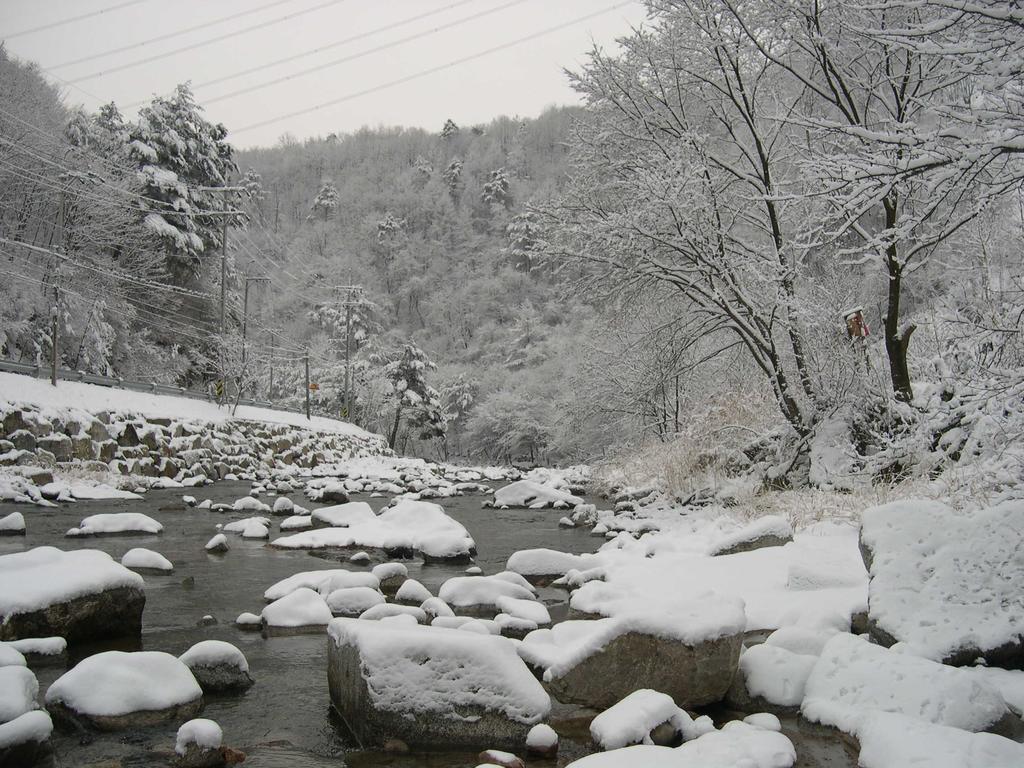 平昌郡 ハッピー ドリーム ペンションヴィラ エクステリア 写真