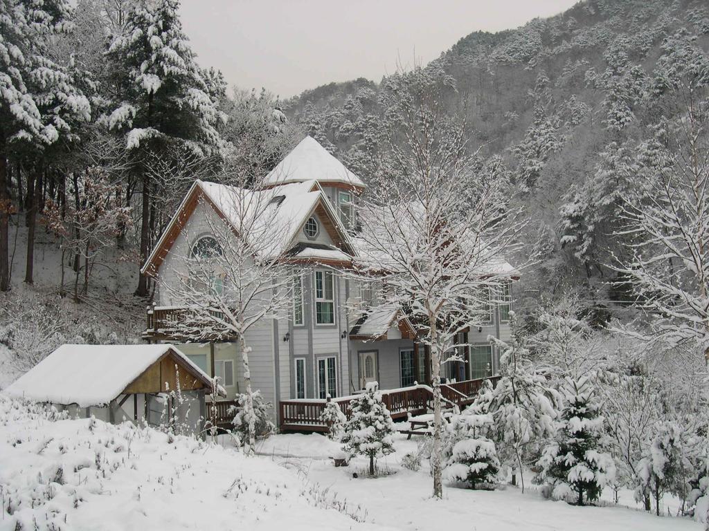 平昌郡 ハッピー ドリーム ペンションヴィラ エクステリア 写真